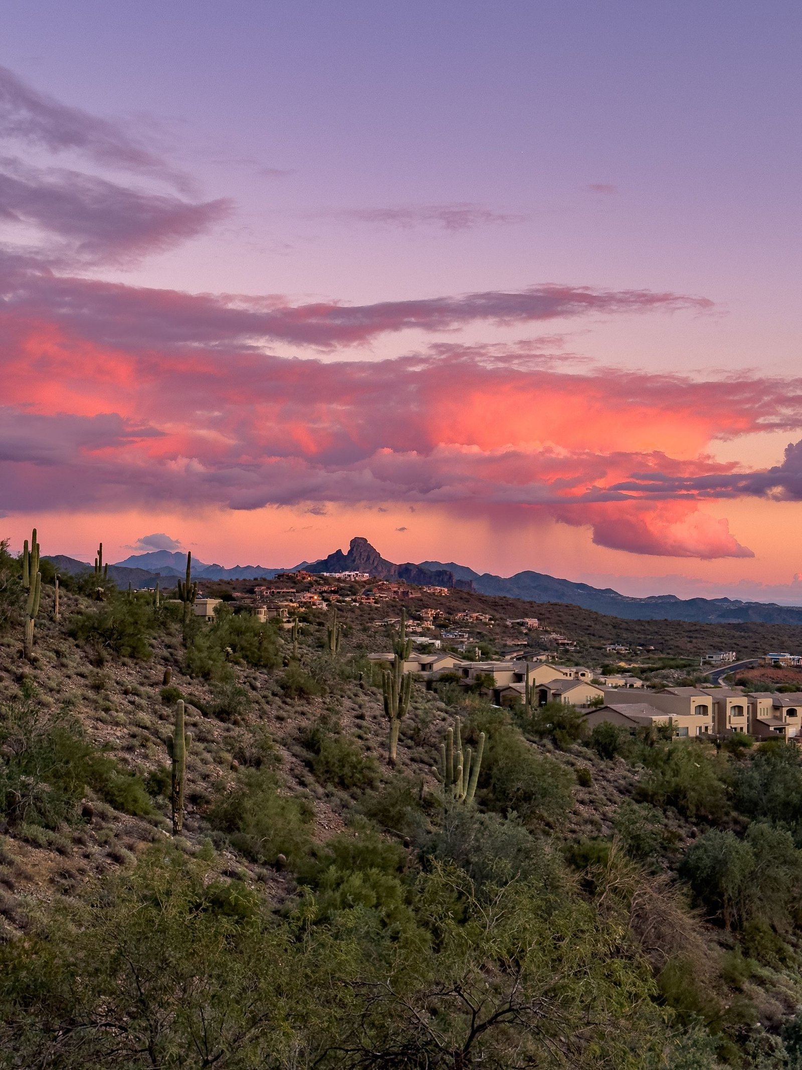 Pink and coral sunset clouds over a saguaro-covered desert hillside with homes and a rocky peak in the distance